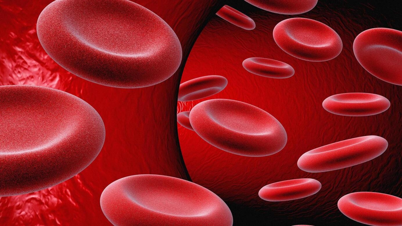 Липидный профиль крови: показания и показатели