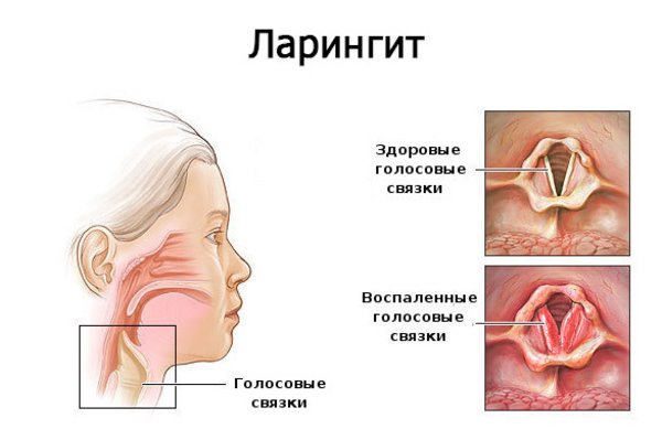 Записаться на приём к врачу, сдача анализов в платном клинико диагностическом центре Хабаровска